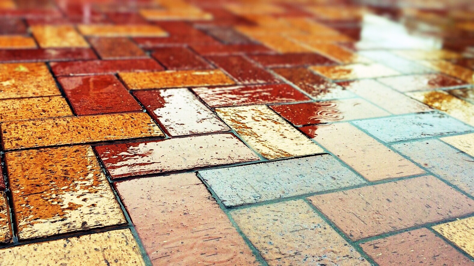 Wet Brick Pavers